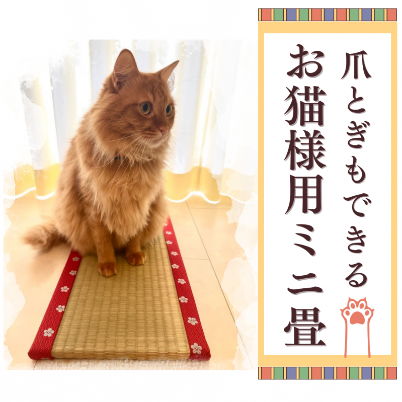 熊本県産い草100%「お猫様専用ミニ畳」