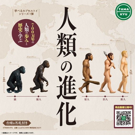 カプセルトイ「人類の進化」