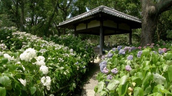 藤森神社