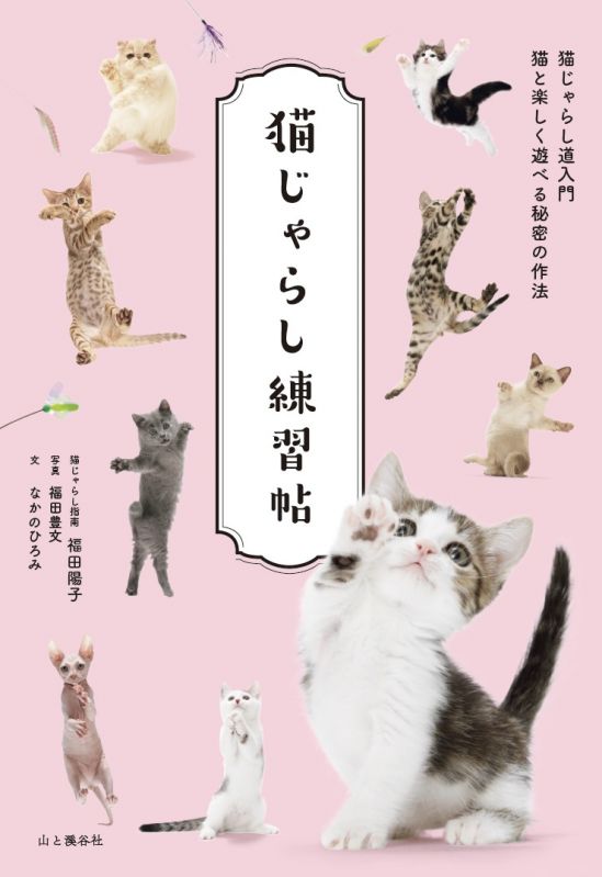 書籍「猫じゃらし練習帖」