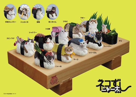 ネコずし