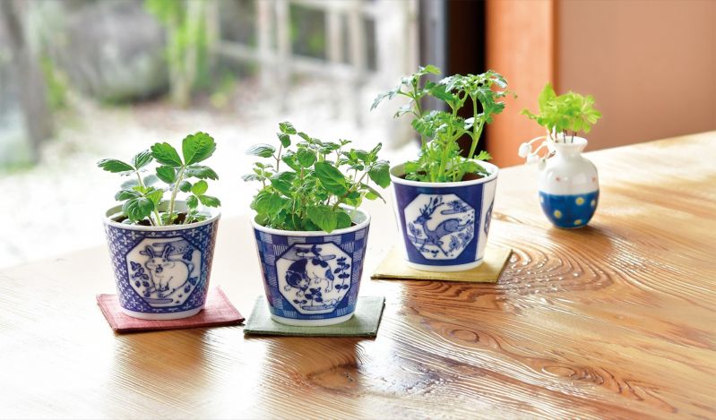 染付小紋　草花　BONSAI