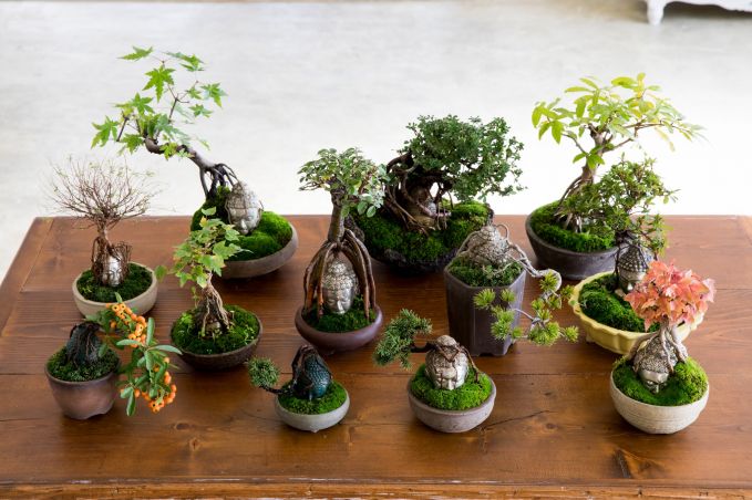 BUDDHA BONSAI（仏像盆栽）