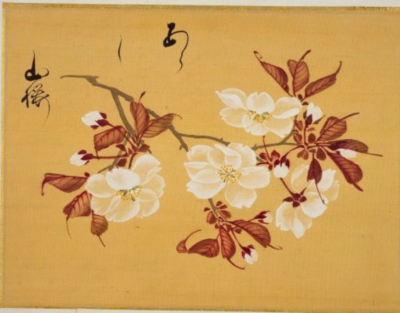 坂本浩然
