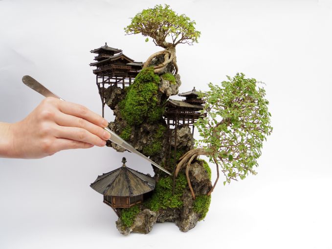 CLIFF BONSAI（断崖盆栽）