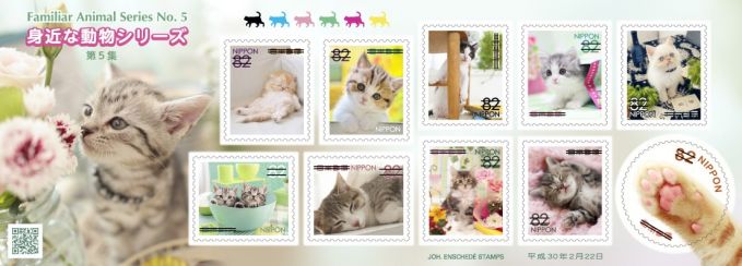 身近な動物シリーズ 第5集 猫