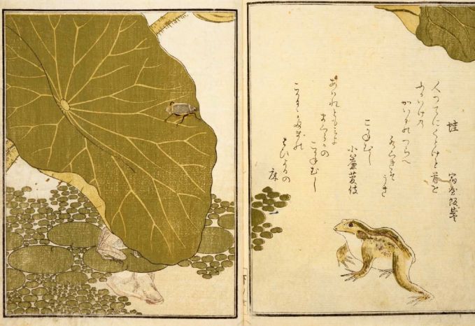 喜多川歌麿「画本虫ゑらみ」