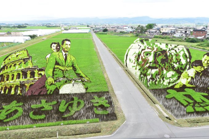 田舎館村の田んぼアート