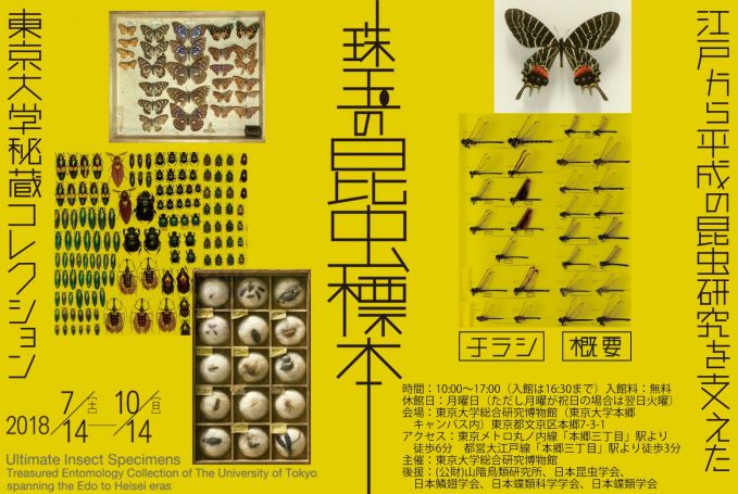 珠玉の昆虫標本 -江戸から平成の昆虫研究を支えた東京大学秘蔵コレクション