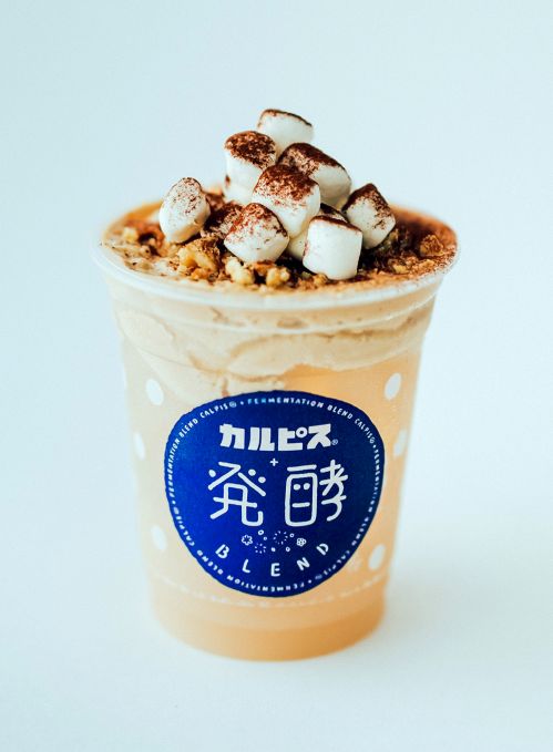 カルピス®＋発酵BLEND 三河
