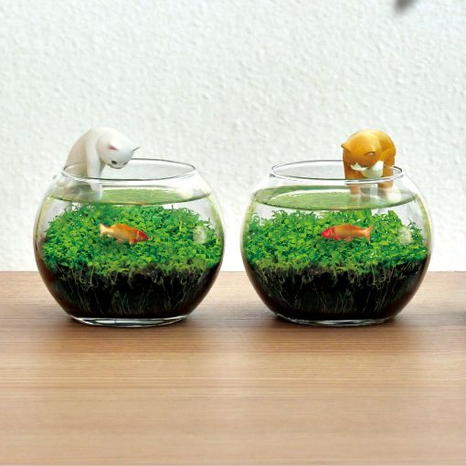 水草栽培キット「じゃれ猫水草鉢」