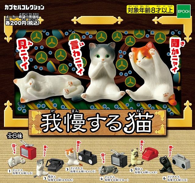 我慢する猫