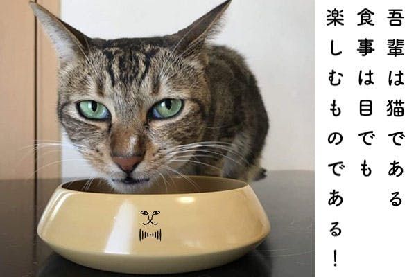 おねこ椀