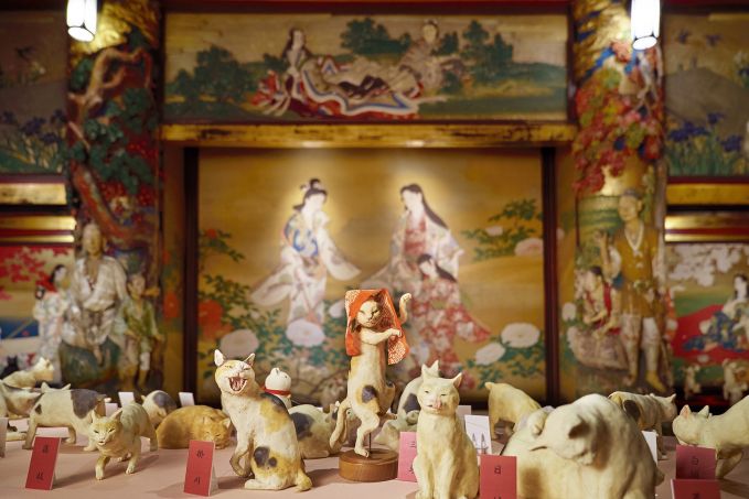 猫都のアイドル展at百段階段