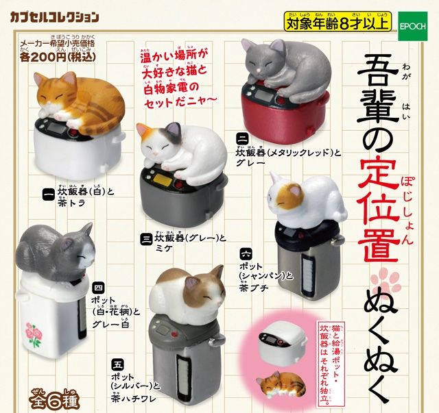 吾輩の定位置　ぬくぬく