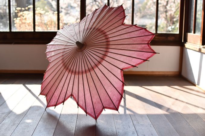 桜型和傘