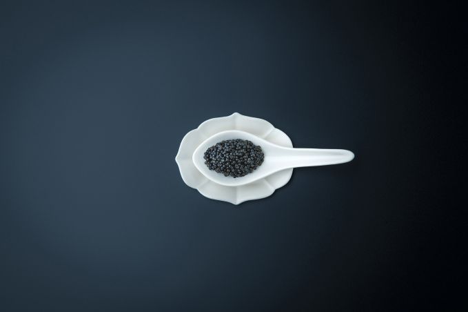 暗太子