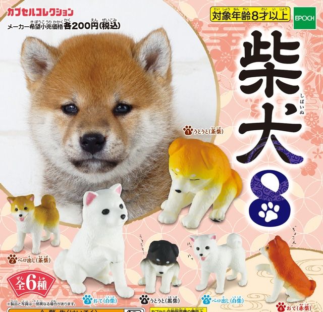 カプセルコレクション 柴犬8