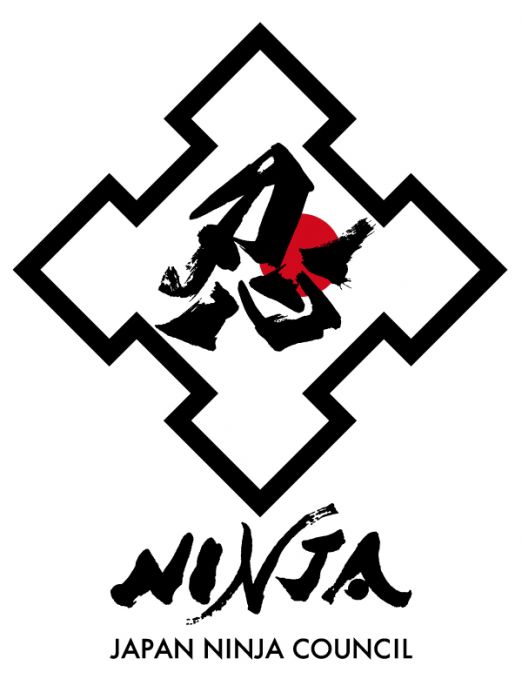 NINJA SPORTS TOY