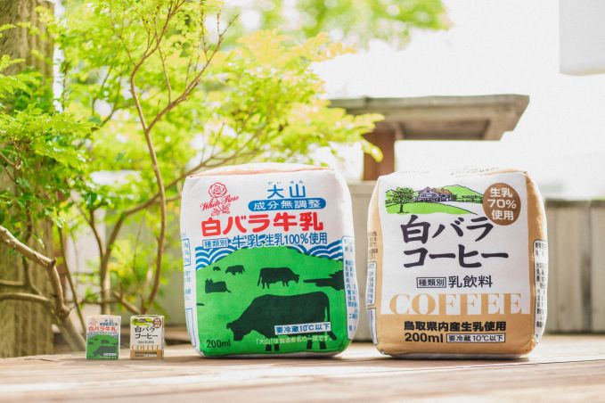 白バラビッグクッション