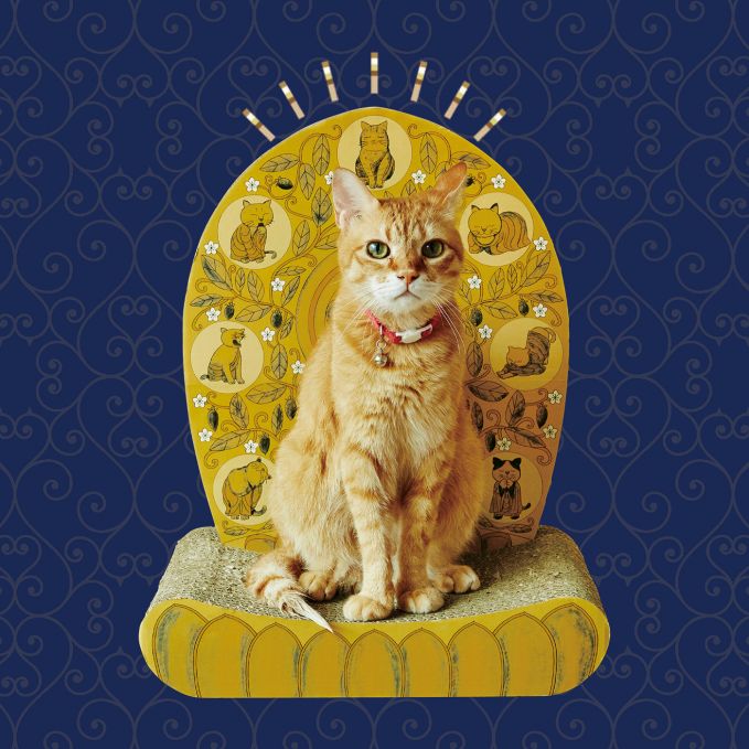 愛猫はわが家のご本尊　光背つめとぎ