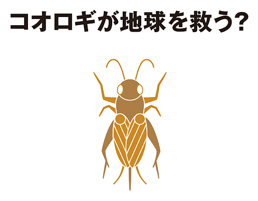 無印良品 コオロギせんべい