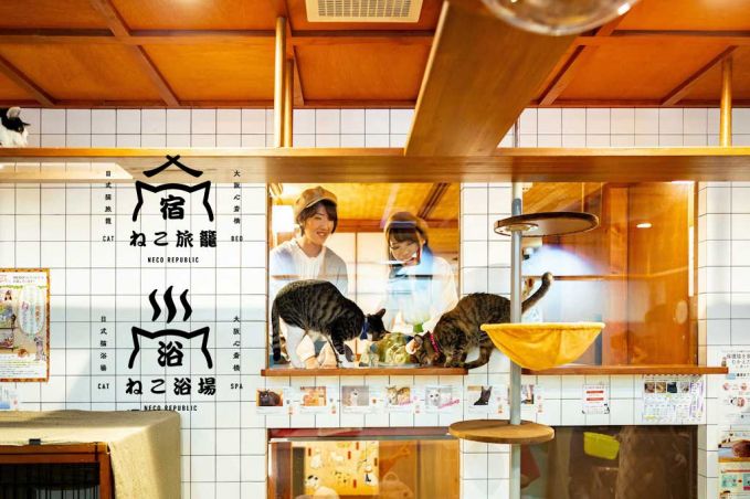 ねこ浴場＆ねこ旅籠