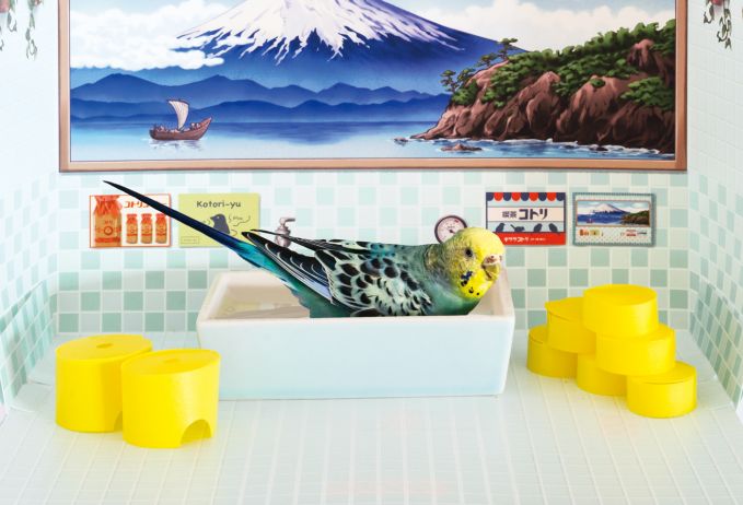 レトロなお風呂で水浴びできちゃうバード銭湯