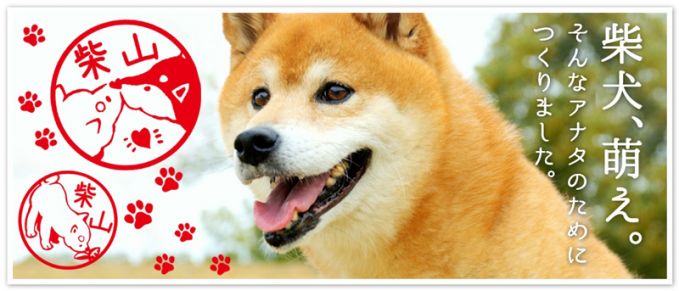しばずかん
