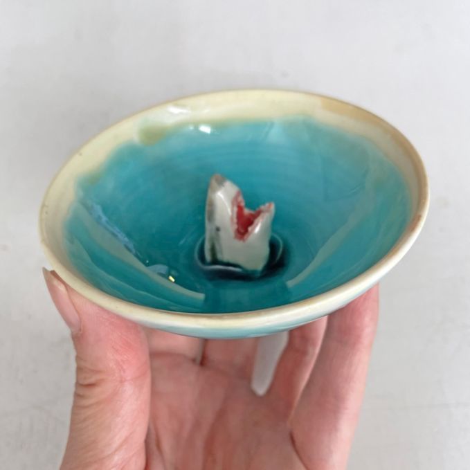 サメ杯