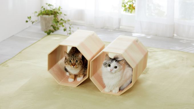 吉野桧のトンネルベッド