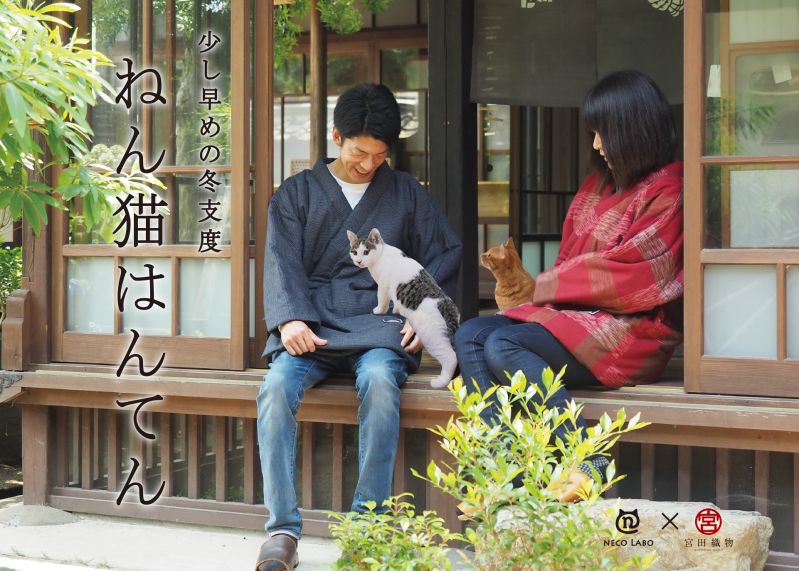 ねん猫はんてん
