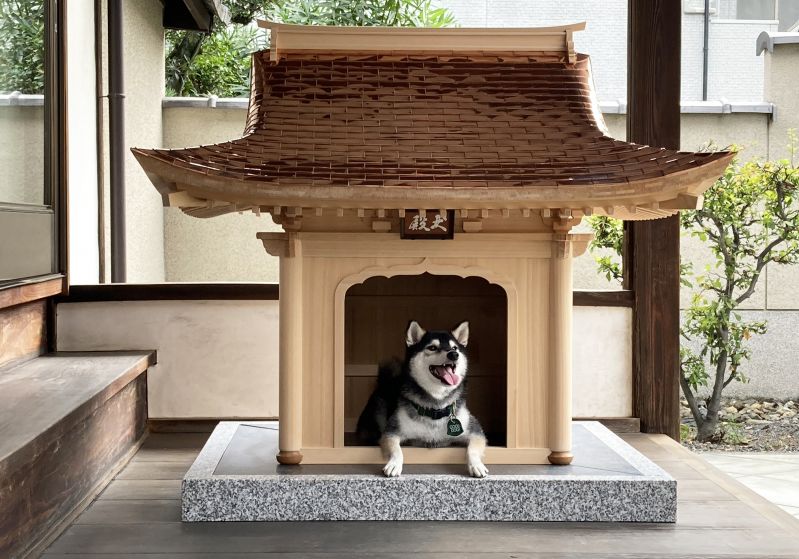 至高の犬小屋「犬殿」